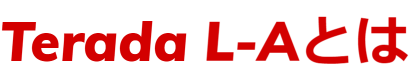 登録支援機関 Terada L-A