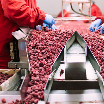 登録支援機関 Terada L-A