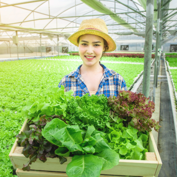 登録支援機関 Terada L-A